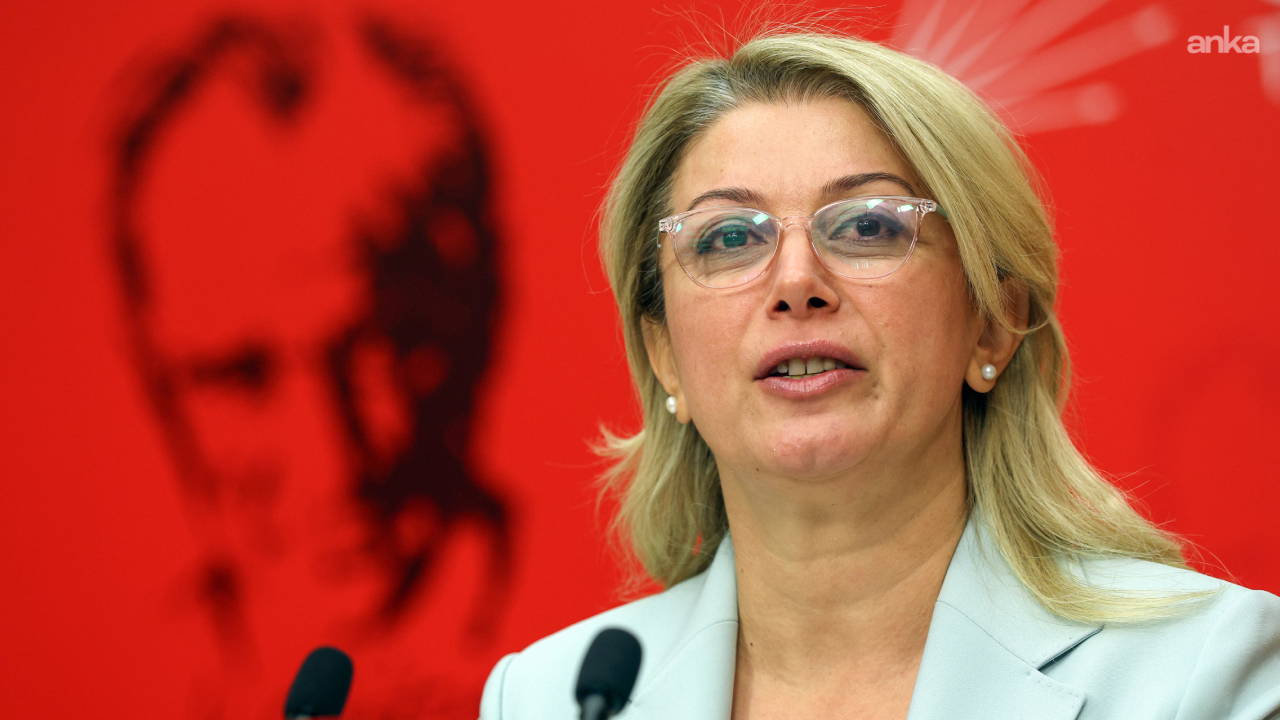 Asu Kaya'dan CHP'de isim silme tepkisi: 'Helal oylarla seçildik