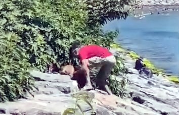 Avcılar'da köpeğe şiddet: Çocukların gözü önünde işkence