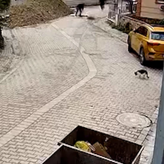 Avcılar'da rögar kapağı açıldı: Yaşlı kadın kanalizasyona düştü