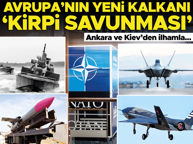 Avrupa’nın yeni savunma konsepti: Kirpi Savunması