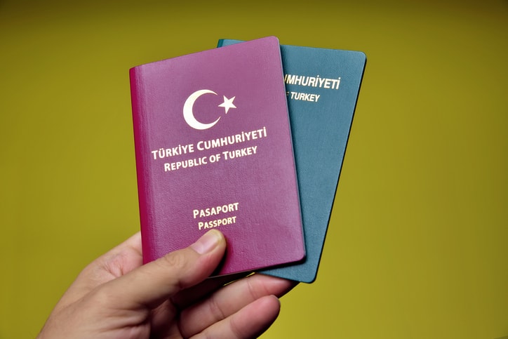 Avrupa Parlamentosu'ndan Türkiye'ye gri pasaport uyarısı