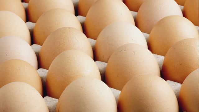 Avrupa'da kuş gribi Türk yumurtasına talebi patlattı