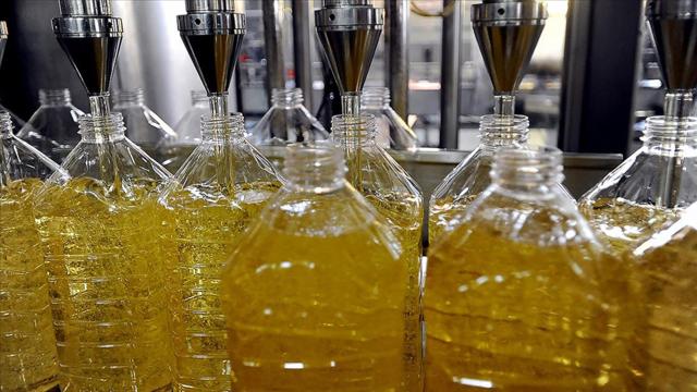 Aydın'da 4 Bin Litre Tağşiş Yağ Ele Geçirildi