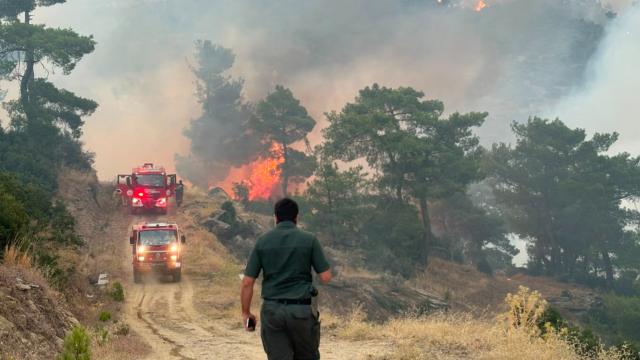 Aydın Çine'deki Orman Yangınına Havadan Müdahale Sürüyor