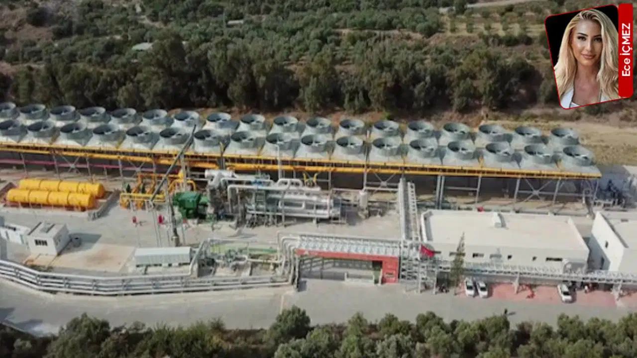 Aydın'da Ormanlık Alana JES Sondajı: DSİ'den Su Kaynakları İçin Şart