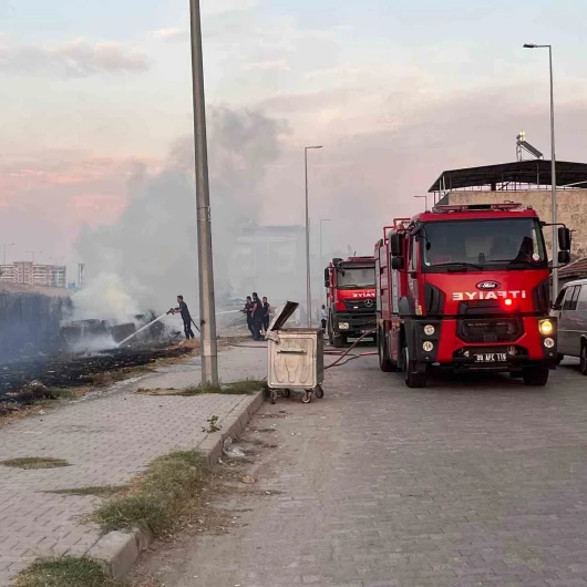 Aydın'da Otoban Kenarındaki Yangın Evlere Sıçramadan Söndürüldü