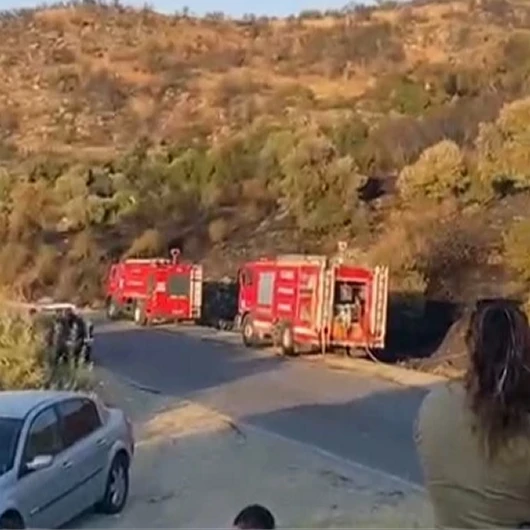 Aydın Söke'de Orman Yangını Kontrol Altına Alındı