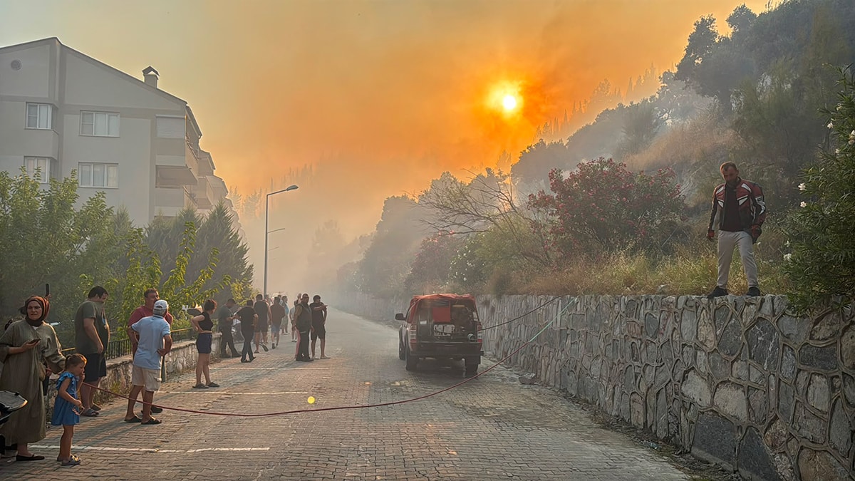 Aydın Söke'de Zeytinlik ve Makilik Alanlarda Çıkan Yangınlar Kontrol Altına Alındı