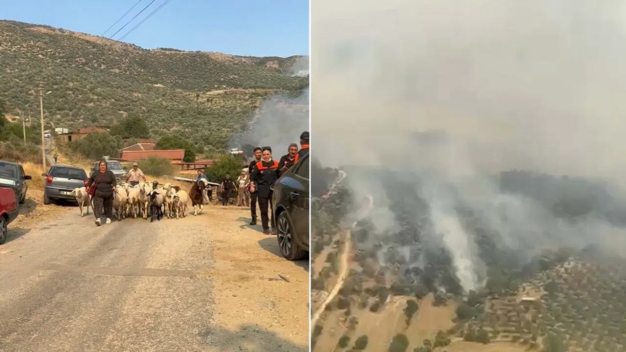 Aydın'da tarım arazisinde yangın: İki mahalle tahliye ediliyor