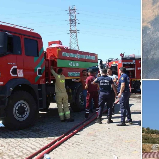 Aydın'da Yangın: Ekiplerin Hızlı Müdahalesi Hastane ve Hayvan Rehabilitasyon Merkezini Kurtardı