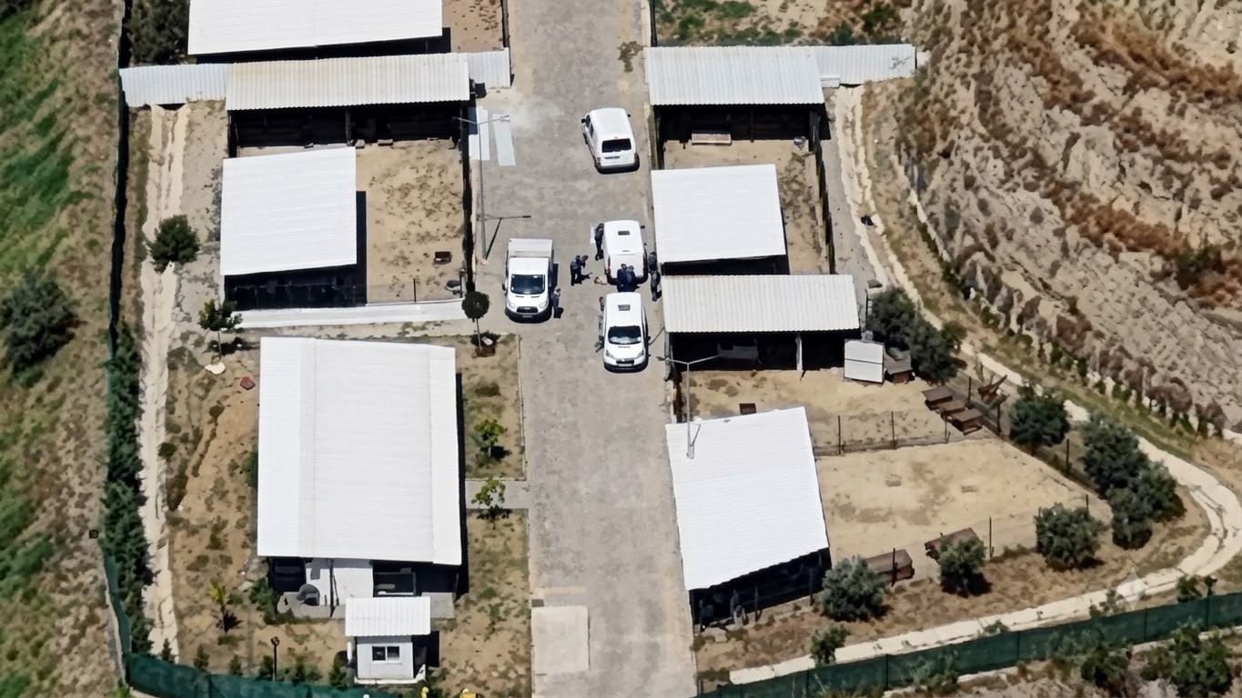 Aydın'da barınak değil ölüm kampı iddiası: Binlerce hayvan nerede