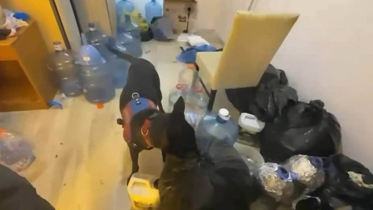Aydın'da uyuşturucu operasyonu: 89 şüpheliye eş zamanlı baskın