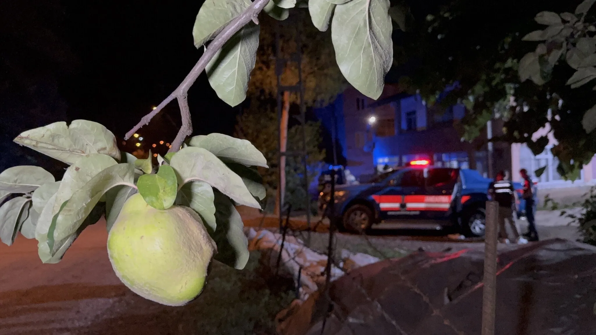Ayva Dalı Cinayeti: Yeğen, Amcasını Tabancayla Öldürdü