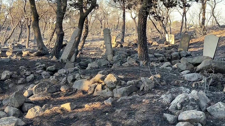 Ayvalık'ta Yangın Mezarlığı Vurdu: Tıfıllar Köyü'nde Mezarlar Küle Döndü