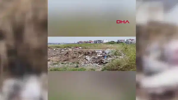 Ayvalık'ta sulak alana inşaat atığı döküldü: DKMP inceleme başlattı