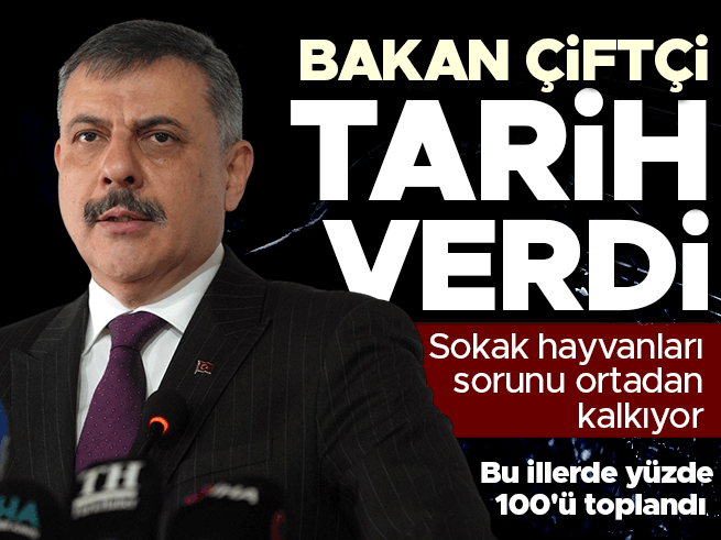 Bakan Çiftçi'den sokak hayvanı açıklaması: Yıl sonuna kadar toplanacak