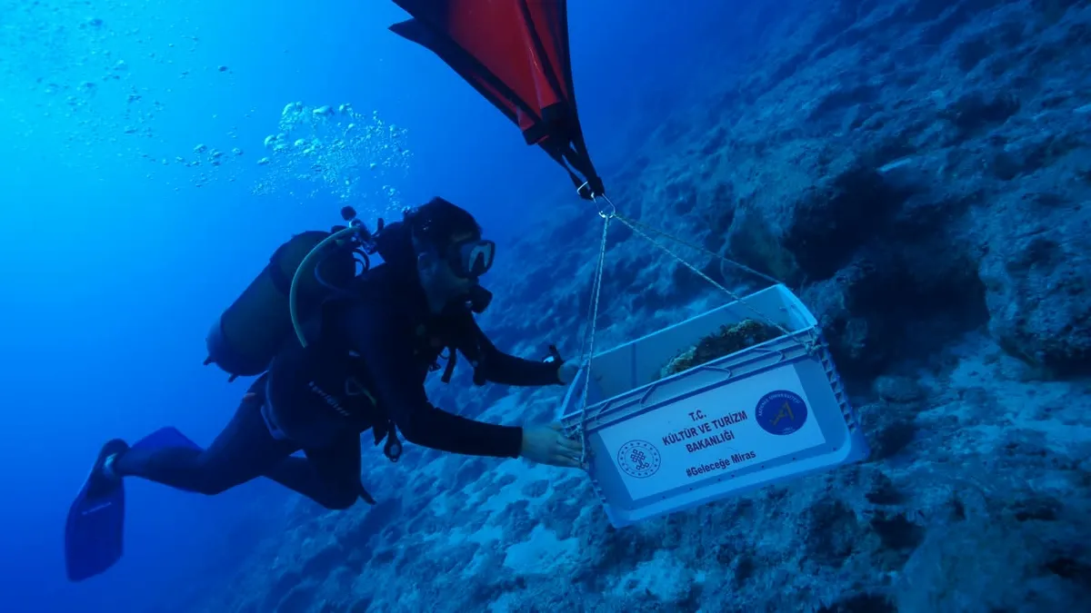 Bakan Ersoy duyurdu: Kekova'da dünyanın en eski batığı bulundu