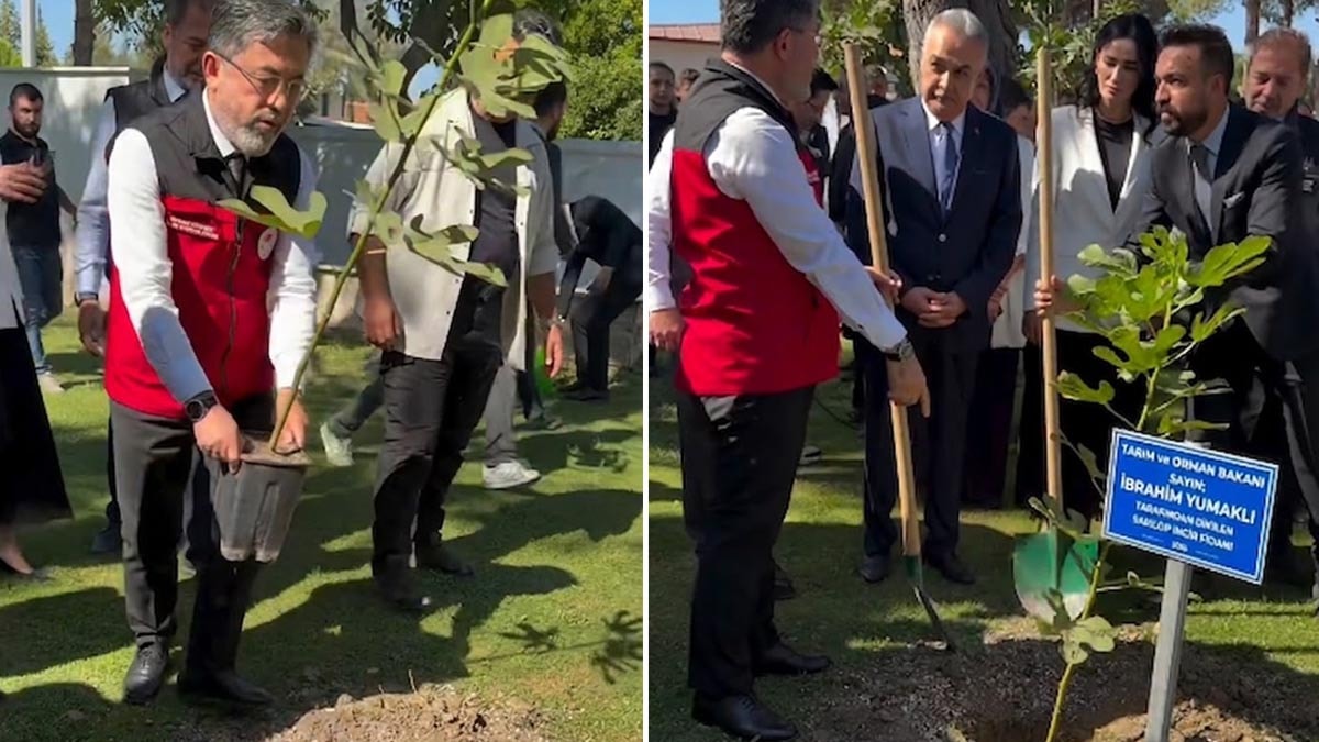 Bakan fidanı saksıyla dikmeye çalıştı, fatura o isme kesildi: Görevden alındı