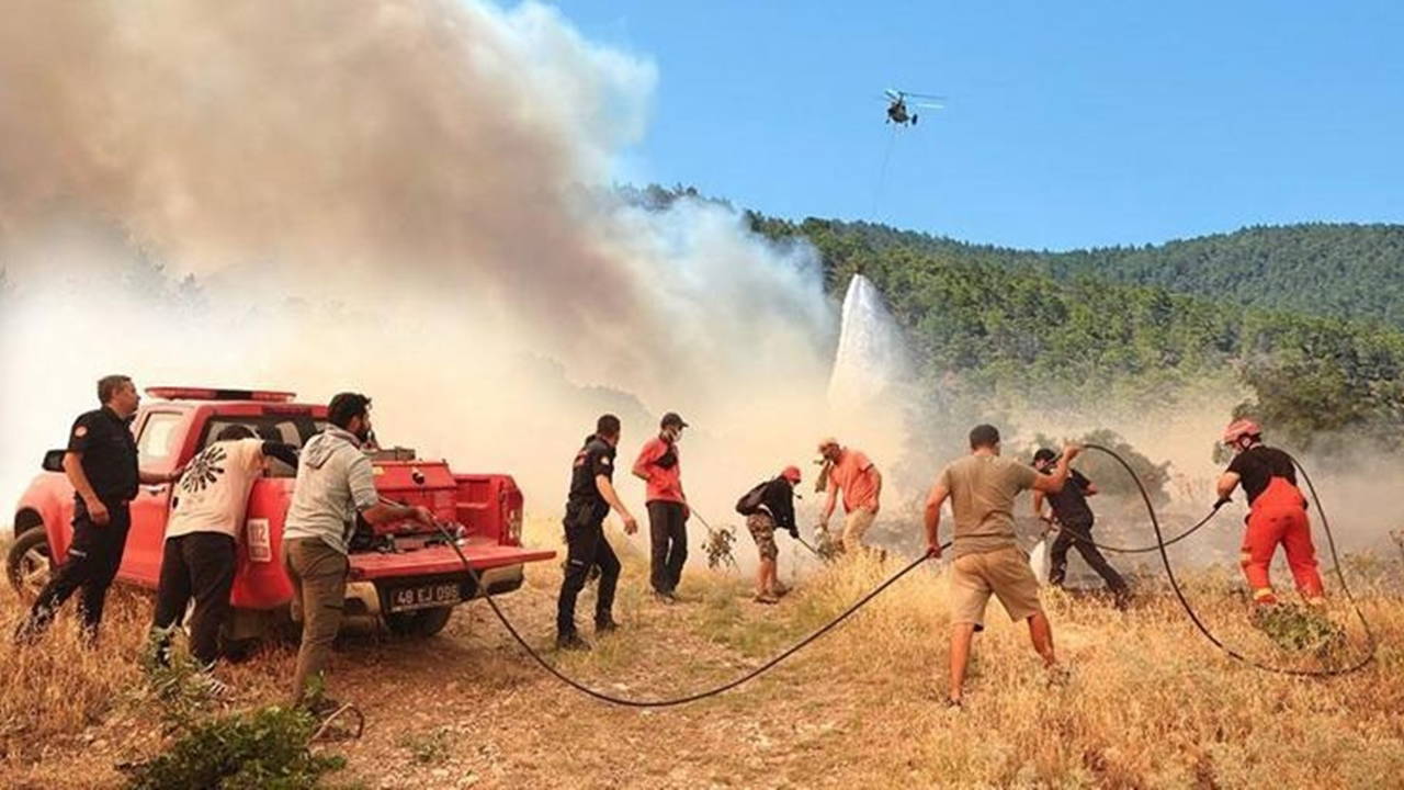 Bakan Kurum açıkladı: 5 ilde yangın hasarı belli oldu