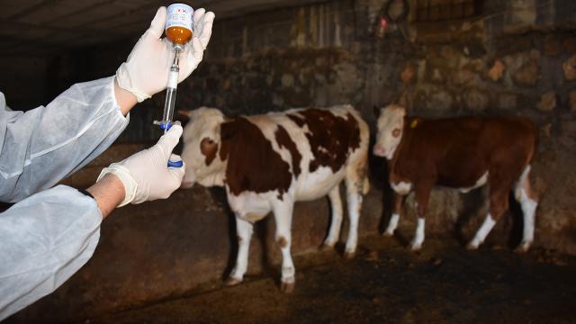 Bakan Yumaklı: Aşı ve Kimliklendirme Ücreti Artık Alınmayacak