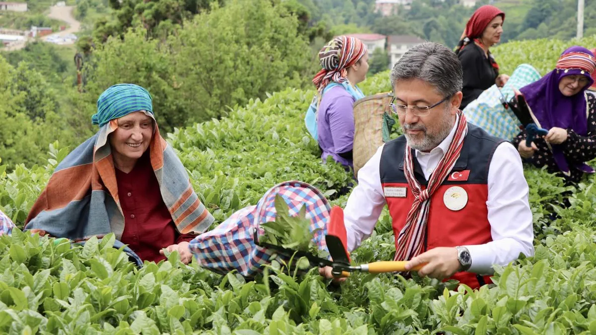 Bakan Yumaklı: Çay üreticilerine 2,68 milyar lira ödeniyor