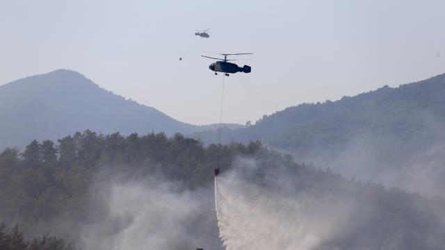 Bakan Yumaklı: Fethiye'deki Orman Yangını Tamamen Kontrol Altında