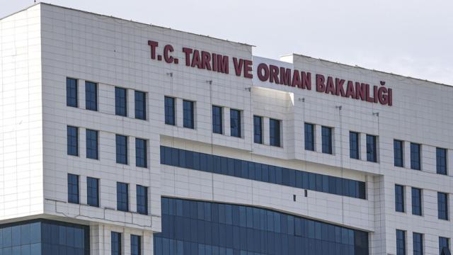 Bakanlık, ormangülü içeren ürünler konusunda uyardı