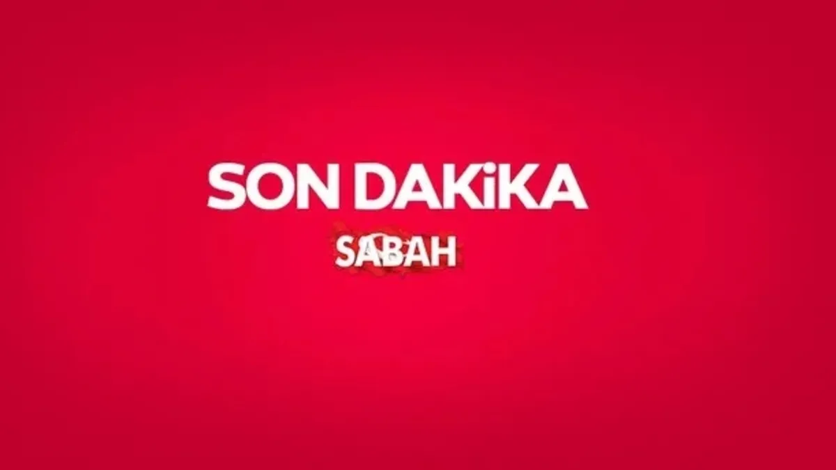 Bakanlıktan Gri Liste Açıklaması: Riskin Olmadığı Tescil Edildi