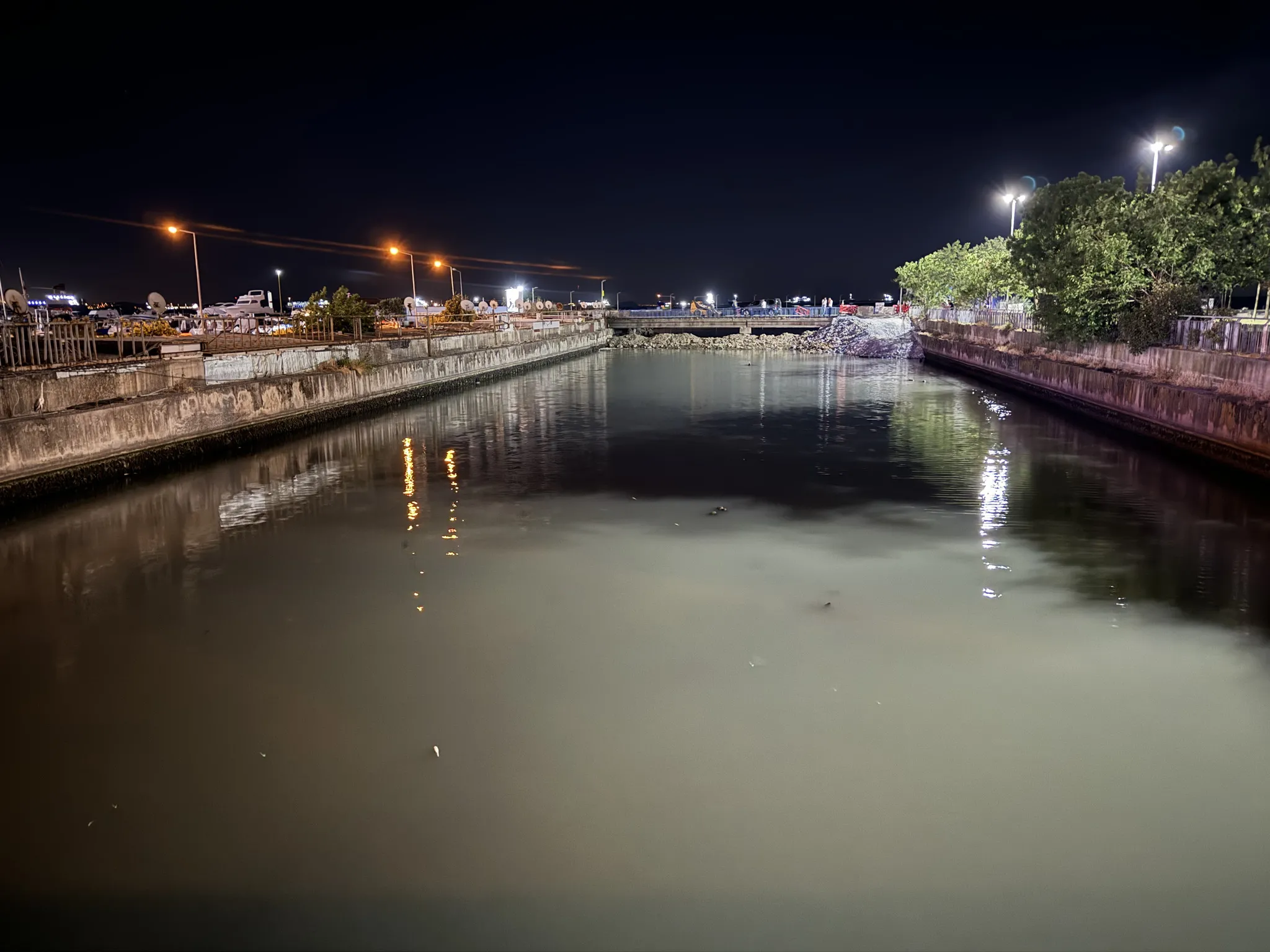 Bakırköy'de Çırpıcı Deresi'nde toplu balık ölümleri: AFAD inceleme başlattı
