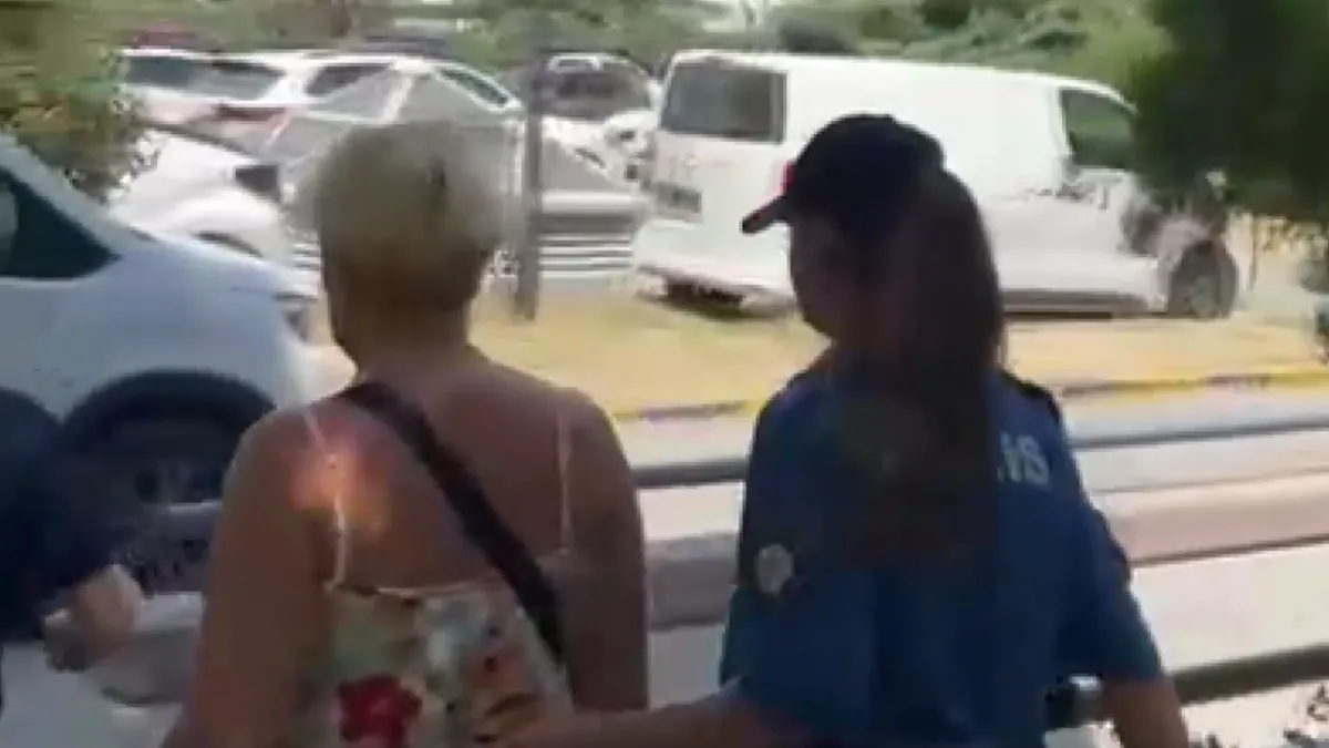Bakırköy'de kedi kavgasında yeni detay: Suç dosyası kabarık çıkan kadın yolu böyle kapatmıştı