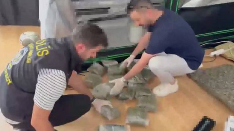 Bakırköy'de evde kurulan serada 4 kilo marihuana ele geçirildi