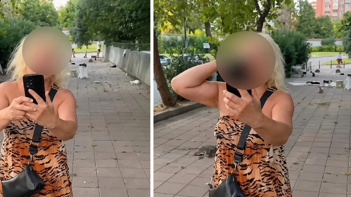 Bakırköy'de kedilere mama verdi, yolu kesti! Gözaltına alındı