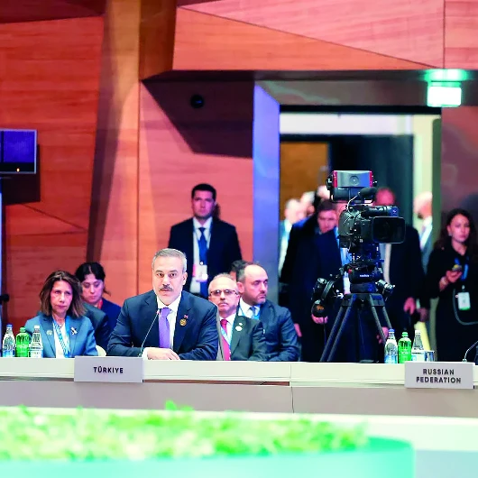 Bakü'de Herzog Konuşurken Salon Boşaldı: Türkiye ve Diğer Ülkeler Tepki Gösterdi