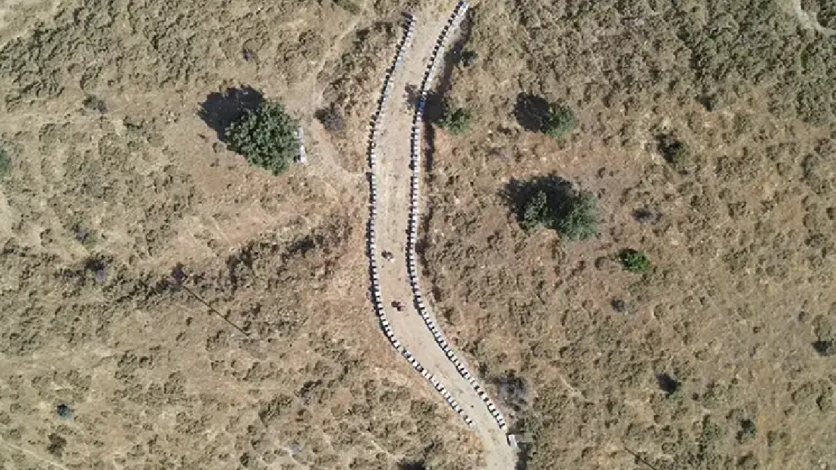 Bal Hasadı Başladı: Elazığ'da 110 Bin Kovandan Şifa Toplanıyor