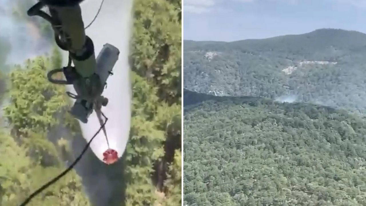 Balıkesir Edremit'te Orman Yangını: Ekipler Müdahale Ediyor