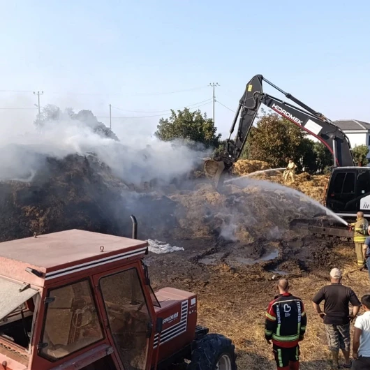 Balıkesir Gönen'de otluk alan yangını: 90 ton saman kül oldu