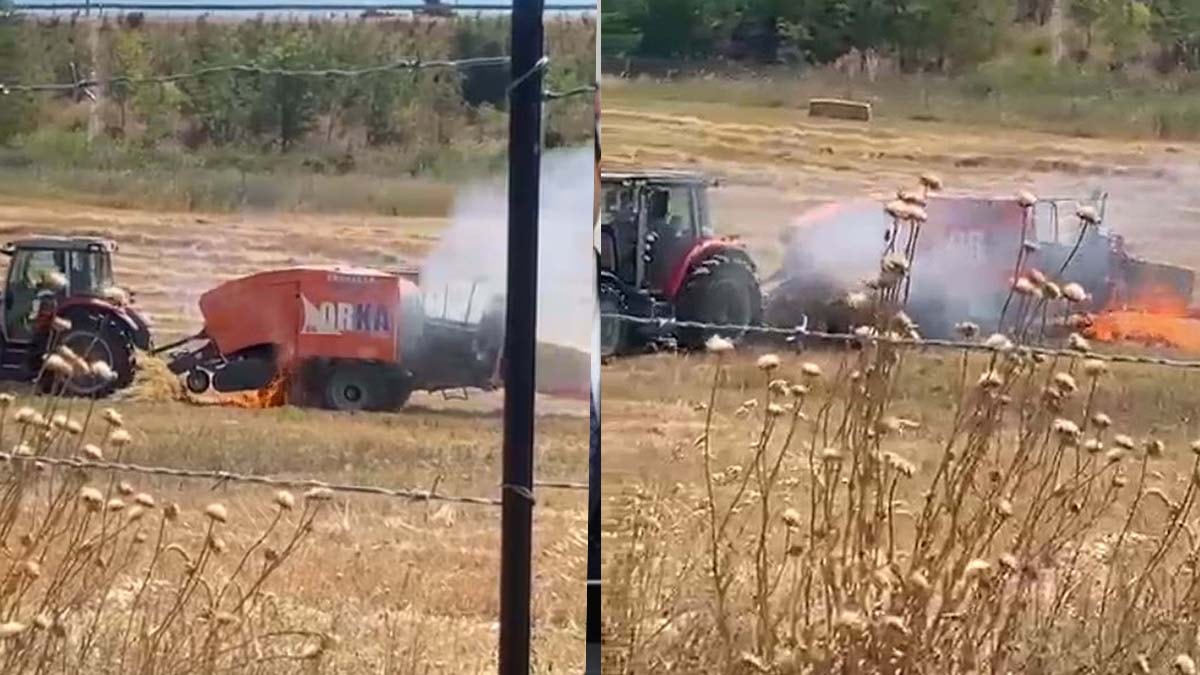 Balıkesir'de İki Ayrı Tarım Yangını Kontrol Altına Alındı