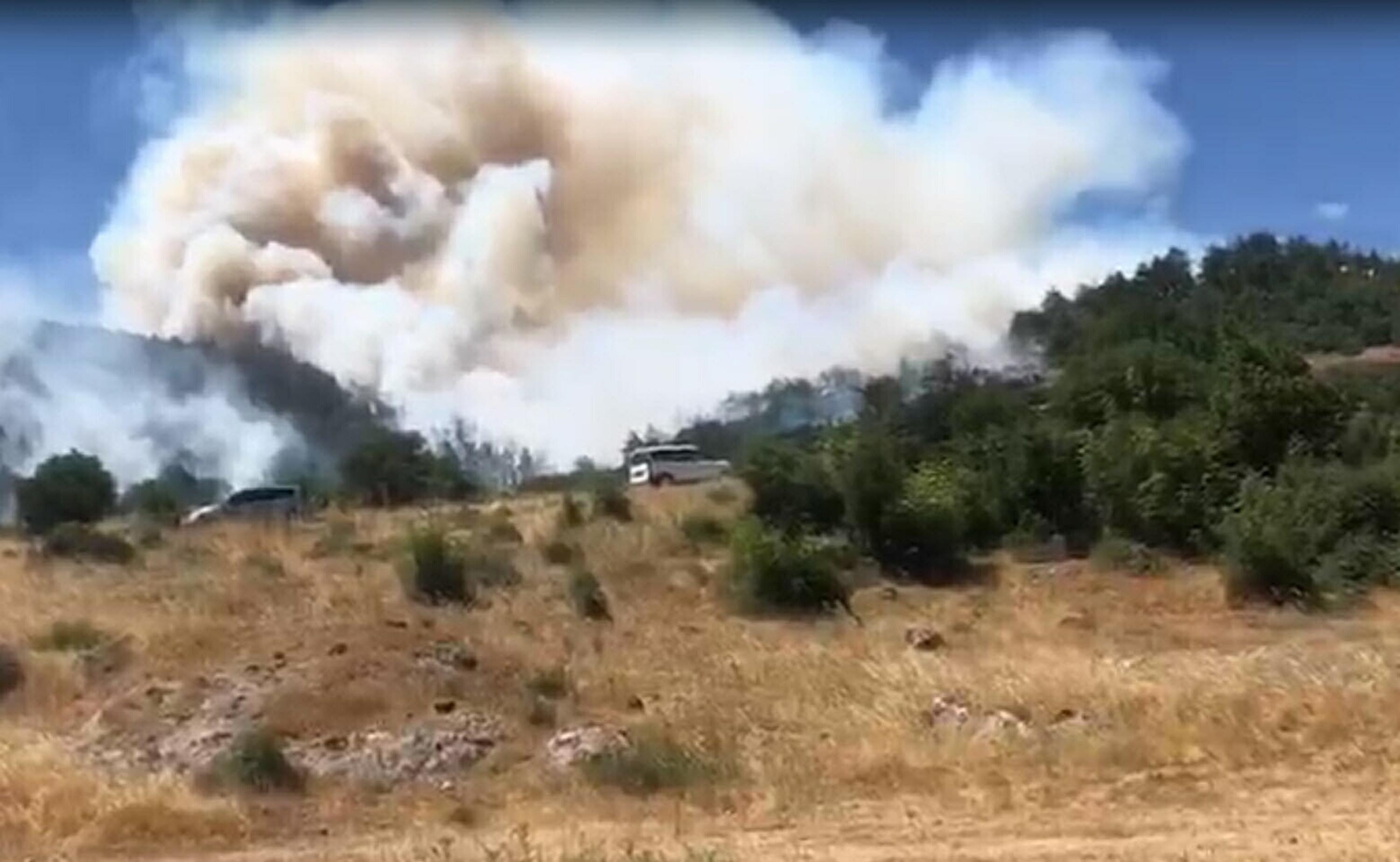 Balıkesir Kepsut'ta Orman Yangını: Rüzgar Alevleri Büyüttü