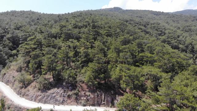 Balıkesir ve Kütahya'da ormanlık alanlara giriş yasağı