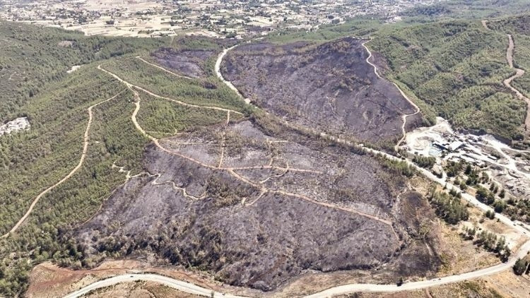 Balıkesir'de Ormanı Yakan Kaynakçılara Tutuklama