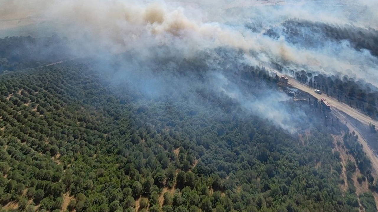 Balıkesir Susurluk'ta Orman Yangını: Havadan ve Karadan Müdahale Sürüyor