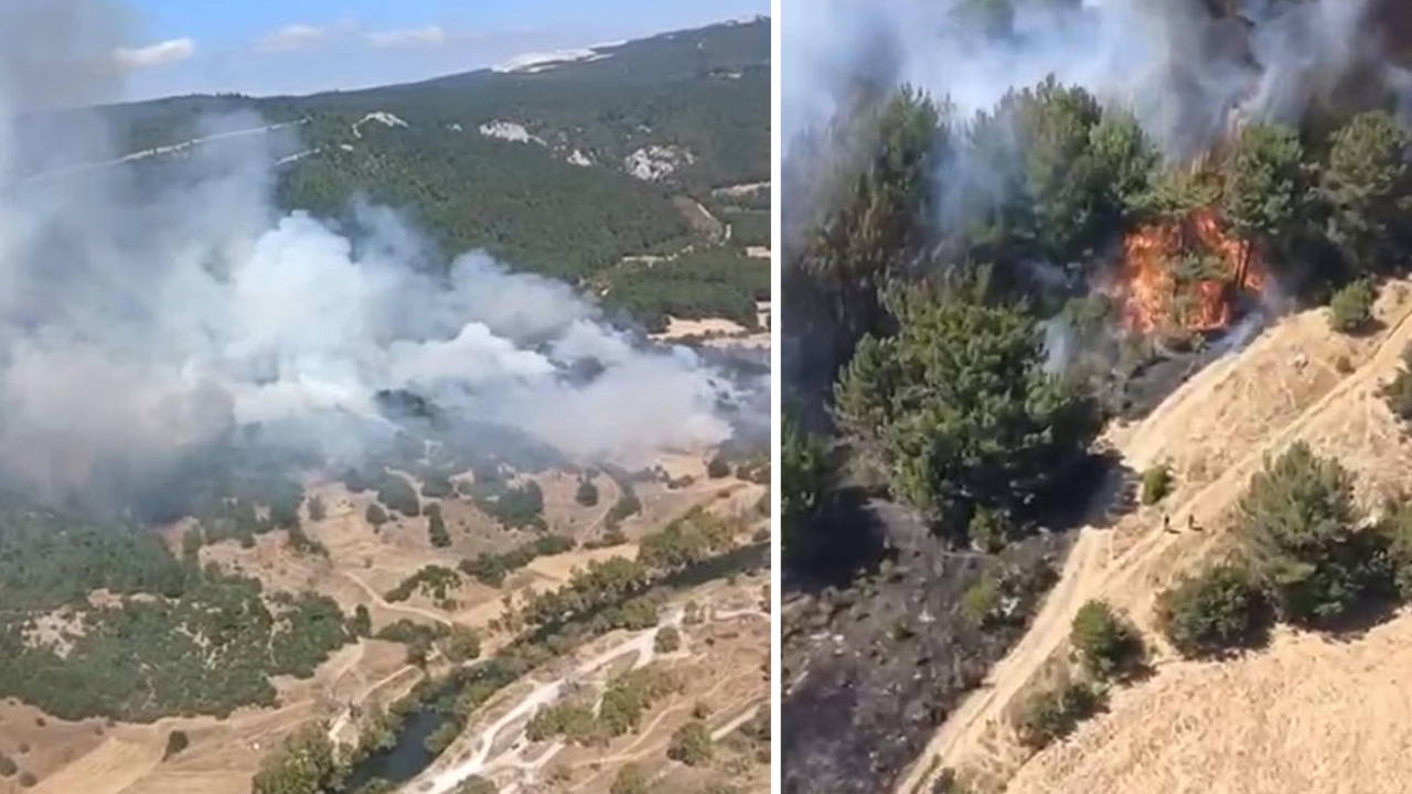 Balıkesir'de Orman Yangını: Ekipler Müdahale Ediyor