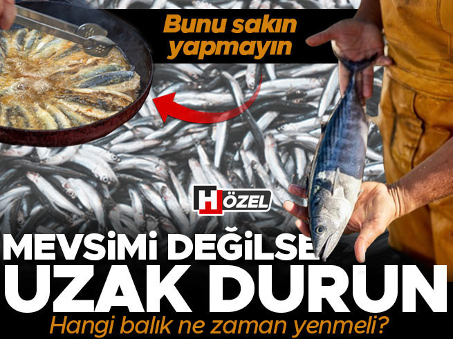 Balıkta Mevsim Rehberi: Hangi Ay Hangi Balık, Nasıl Pişirilmeli