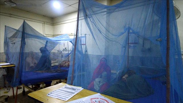 Bangladeş'te dang humması ölü sayısı 364'e yükseldi