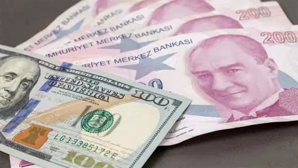 Bank of America'dan dolar/TL stratejisi: 2 ay vadeli short pozisyon önerisi