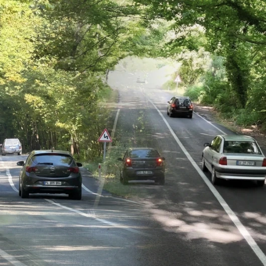 Türkiye'nin Benzersiz Güzelliği: Bartın'daki Ağaçlı Yol