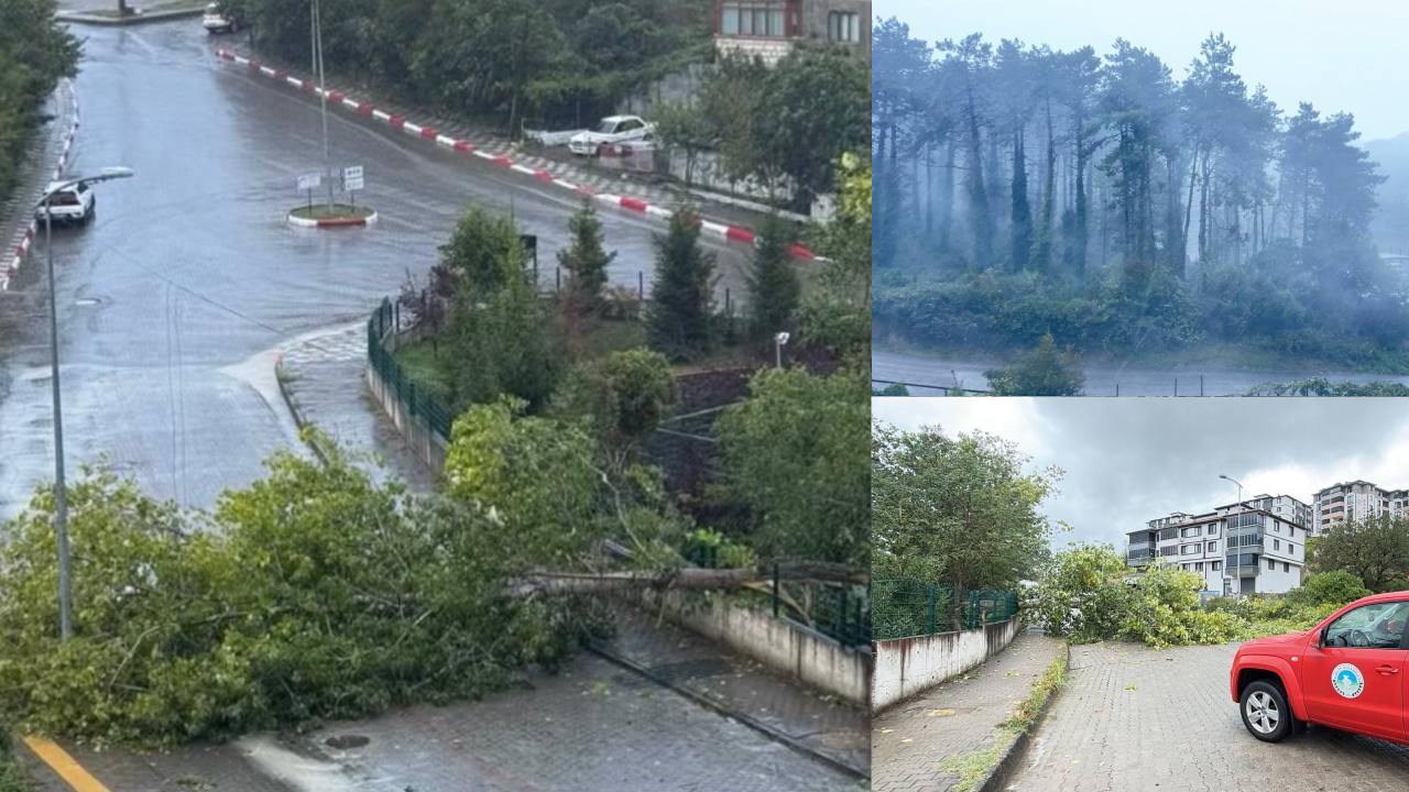 Bartın'da Kuvvetli Rüzgar Elektrik Direklerini Devirdi: Asansörde Mahsur Kalanlar Kurtarıldı