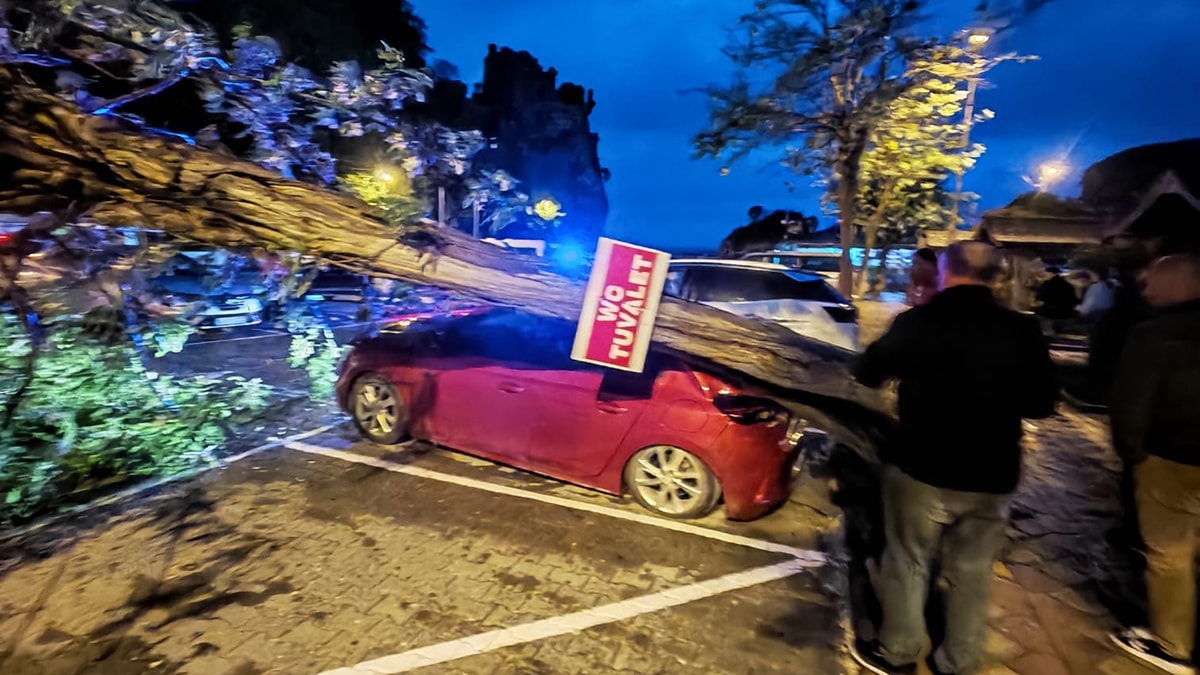 Bartın'da fırtına: Ağaçlar devrildi, araçlar zarar gördü