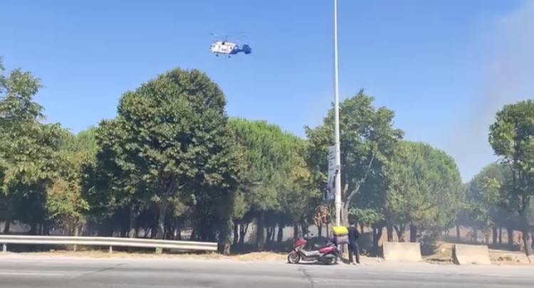 Başakşehir'de torpil yangını: Ağaçlık alan küle döndü