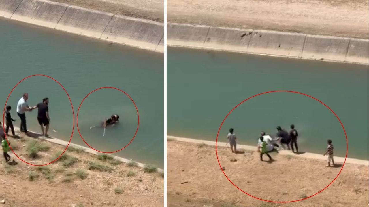 Batman'da Sulama Kanalında Can Pazarı: Akıntıya Kapılan 2 Kişiyi Vatandaşlar Kurtardı